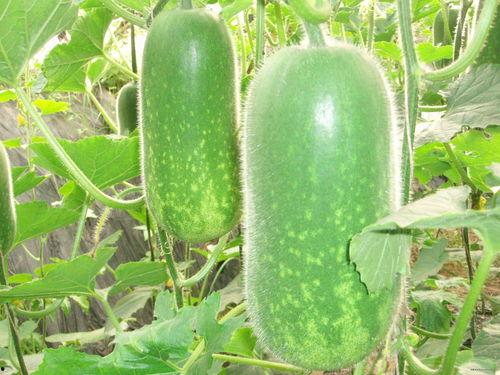 629吃瓜网-第7页,热点事件深度解析