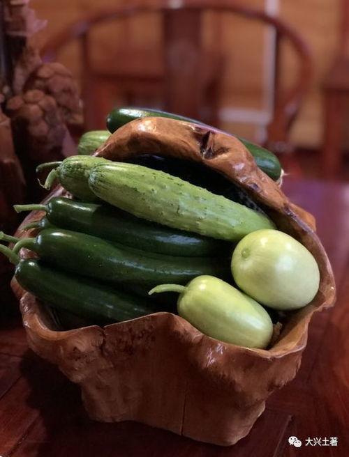 未成年网红吃瓜,揭秘网络世界的成长烦恼