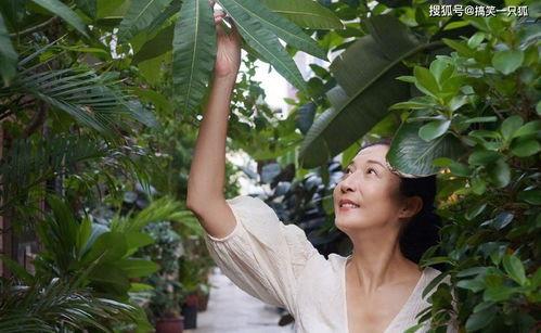 吃瓜事件网红楠楠,吃瓜事件背后的真相与反思