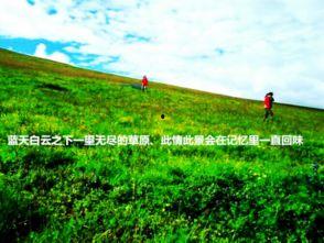 吃瓜爆料呼伦贝尔,揭秘草原上的“吃瓜”风云